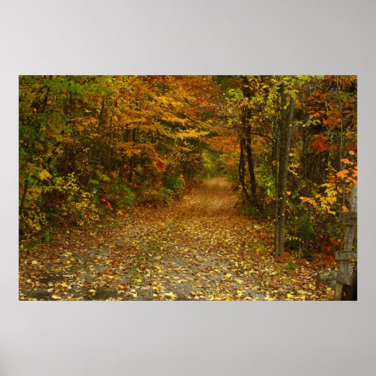 De weg minder gereisd poster (Voorkant)