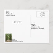 De weg naar eneneneneiken denken aan je Briefkaart (Achterkant)