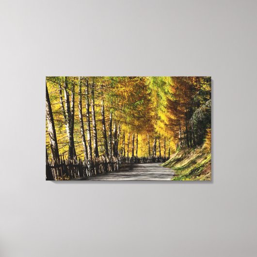 De weg naar herfst canvas print (Voorkant)