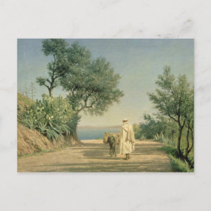 De weg naar het Zee, Algerije, 1883 Briefkaart