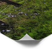 De weg naar huis 36 x 24 Poster (Hoek)