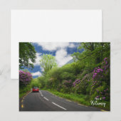 De weg naar Killarney - Ierland Briefkaart (Voorkant / Achterkant)