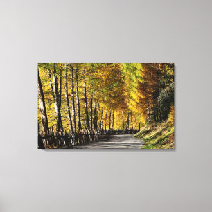 De weg naar najaar canvas druk afdruk