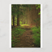 De Weg van de spar Briefkaart (Voorkant)