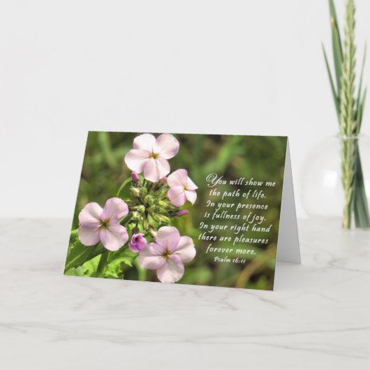 De weg van het leven - Kaart van de Schrift (Voorkant)