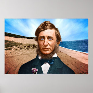 De Wellfleet Penman Poster