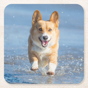 De Welse Hond Corgi die van Pembroke op het Strand Vierkante Kartonnen Onderzetter