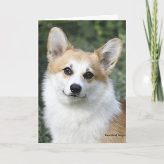 De Welse Kaart Corgi van Pembroke