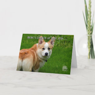 De Welse Kaart Corgi van Pembroke