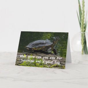 DE WENS VAN DE KOMEDISCHE SCHILDPAD VOOR "UW VERJA KAART