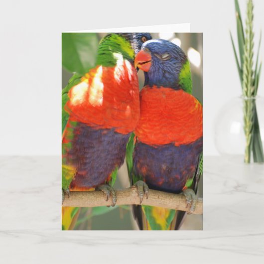 De Wenskaarten Lorikeets van het geknuffel Kaart (Voorkant)