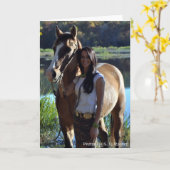 De Wenskaarten van Choctaw (Halito) Kaart (Gele Bloem)