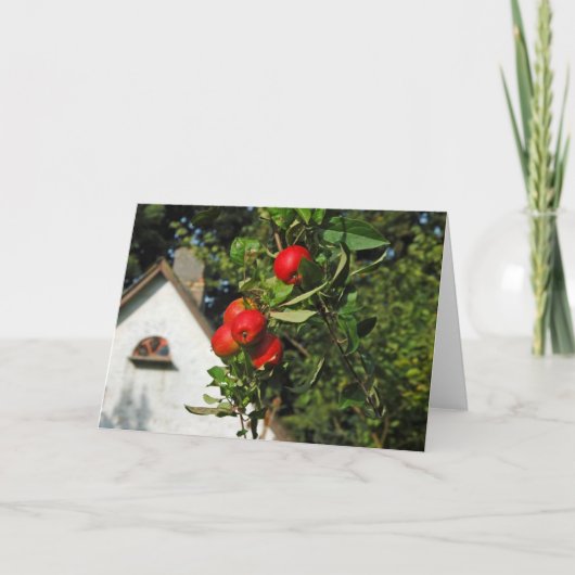 De Wenskaarten van de Appelen van de duif Kaart (Voorkant)