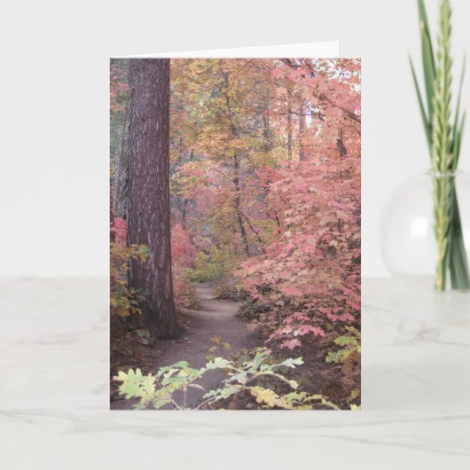 De Wenskaarten van de stilte & van de Zoetheid (1) Kaart (Voorkant)