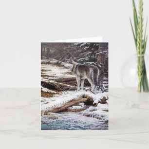 De Wenskaarten van de wolf Kaart