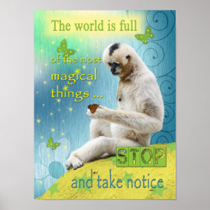 De wereld is vol Magisch Poster