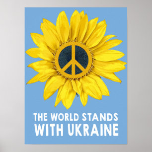 De wereld staat met Oekraïne Poster
