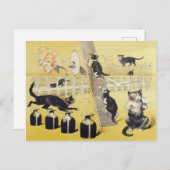 De wereld van de kat briefkaart (Voorkant / Achterkant)