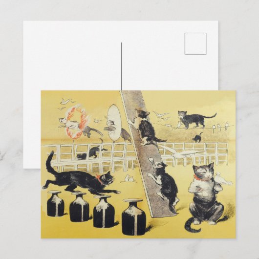 De wereld van de kat briefkaart (Voorkant / Achterkant)