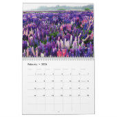 De wereld van Lupines Kalender (Feb 2026)