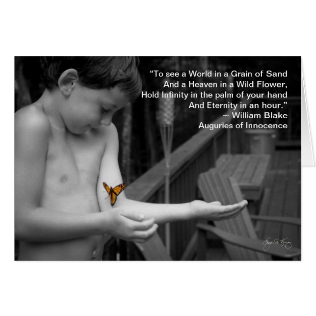 "De wereld zien" (Voorkant Horizontaal)