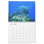 DE WERELDkalender ONDERWATER Kalender (Mar 2026)