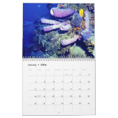 DE WERELDkalender ONDERWATER Kalender (Jan 2026)