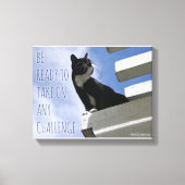 De wereldkattenbeweging overnemen canvas afdruk (Voorkant)