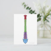 De wervelkolom 2 briefkaart (Staand voorkant)