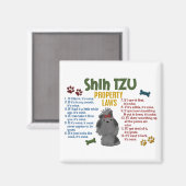 De Wet 4 van het Bezit van de Tzu Magneet (Voorkant / Achterkant)