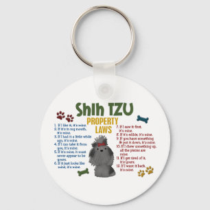 De Wet 4 van het Bezit van de Tzu Sleutelhanger