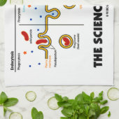 De wetenschap van het eten (Humor van de endemisch Theedoek (Gevouwen)