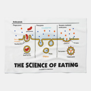 De wetenschap van het eten (Humor van de endemisch Theedoek