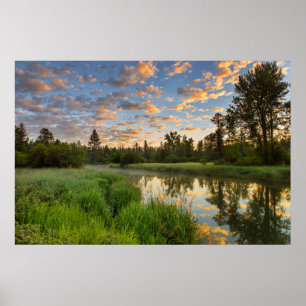 De Whitefish-rivier met mooie zonsopgangswolken Poster