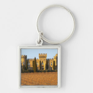 De wijngaard met sirah-wijnstokken en het kasteel sleutelhanger