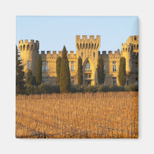 De wijngaard met syrah-druiven en het kasteel magneet