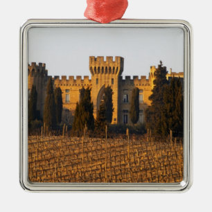 De wijngaard met syrah-druiven en het kasteel metalen ornament
