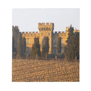 De wijngaard met syrah-druiven en het kasteel notitieblok
