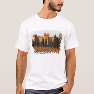 De wijngaard met syrah-druiven en het kasteel t-shirt