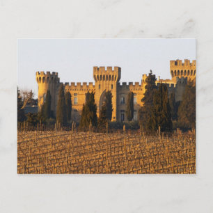 De wijngaard met syrah wijnstokken en het kasteel briefkaart