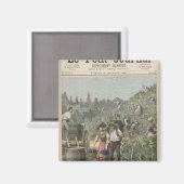 De wijnoogst magneet (Voorkant / Achterkant)