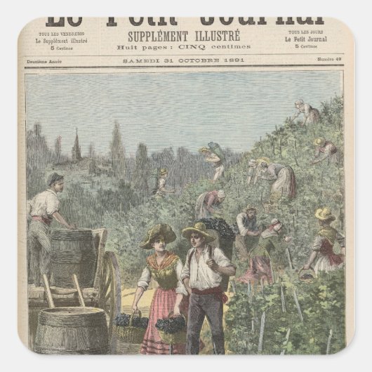 De wijnoogst vierkante sticker (Voorkant)