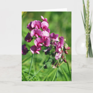 De wilde Bloem van de Schat Kaart