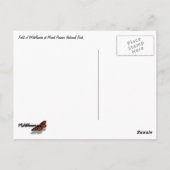 De wilde bloemen op Mount Rainier Briefkaart (Achterkant)