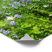 De wilde bloemen op Mount Rainier Poster (Hoek)