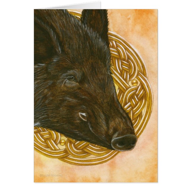 De wilde Boar (Voorkant)