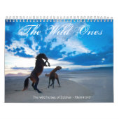 De wilde eenden kalender (Hoes)