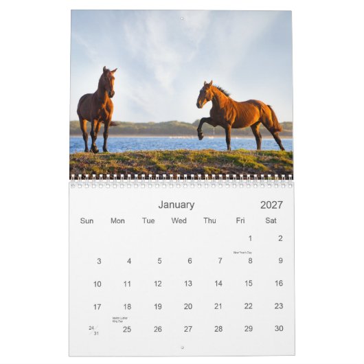 De wilde eenden kalender (Jan 2027)