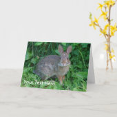 De wilde Kaart van de Foto van de Natuur van het (Gele Bloem)