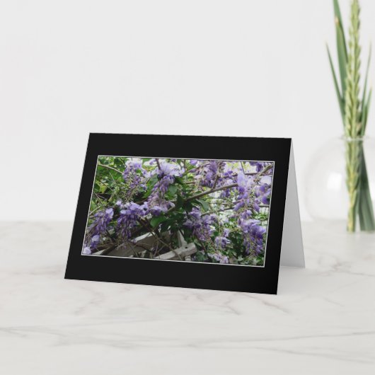 De "wilde Lente " Kaart (Voorkant)